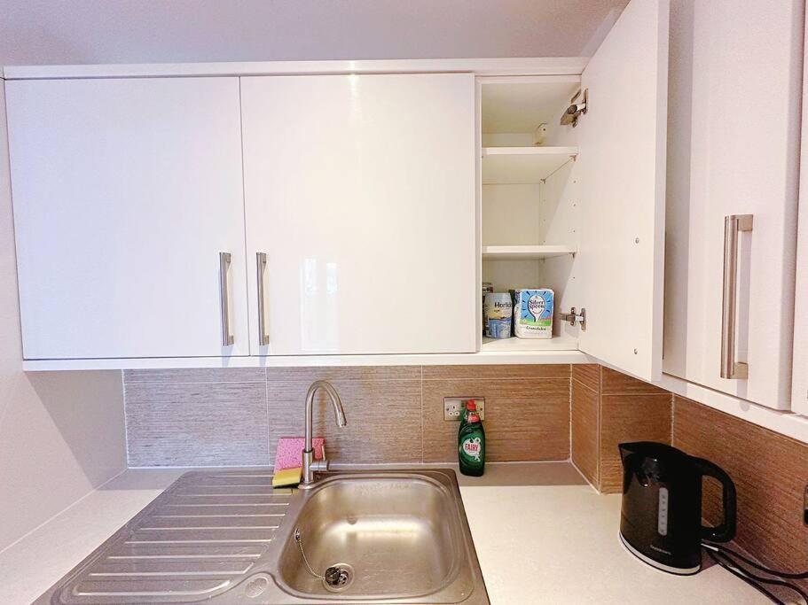 1 Bed Room Flat Near Central Londra Esterno foto